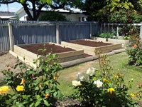 Raised Garden.jpg