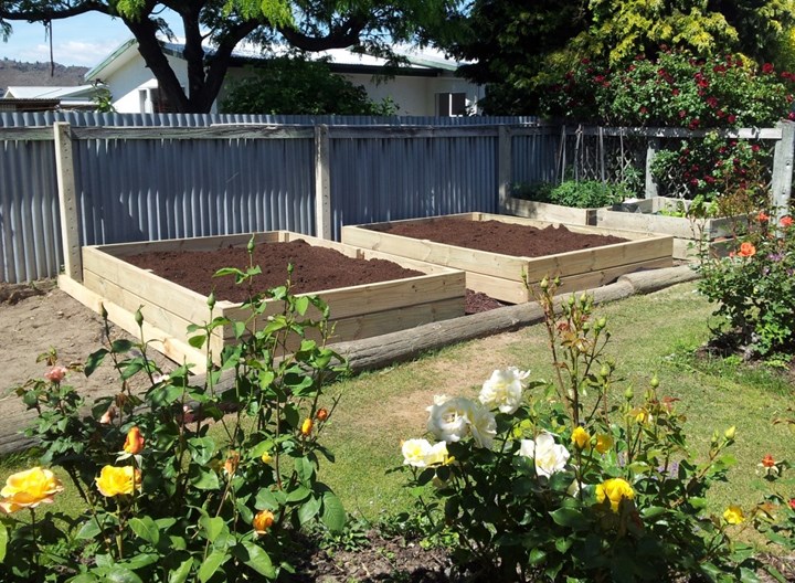 Raised Garden.jpg