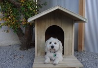 Kennel & Syrus.JPG