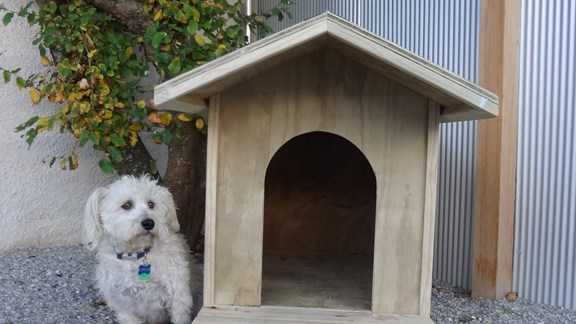 Kennel and Syrus outside.JPG