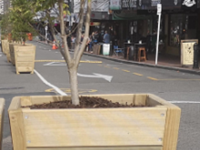 Octagon Planter Box