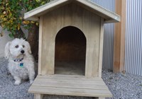 Kennel and Syrus outside 2.jpg