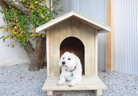 DSC01406.JPG
